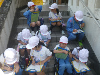 P1060368