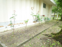 P1100281